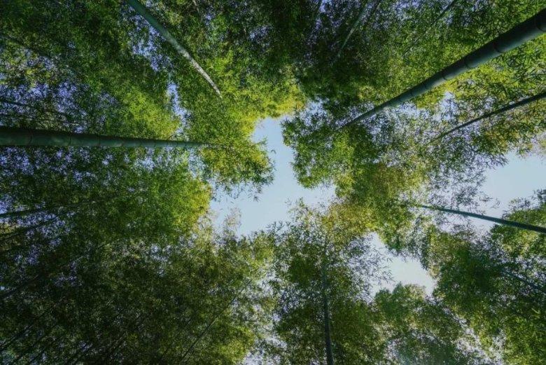 想要获得好的睡眠，尝试掌握5个技巧