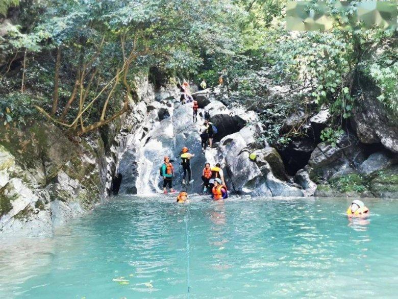 虫虫助手下载