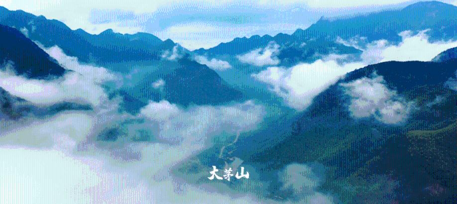 帝国：全面战争