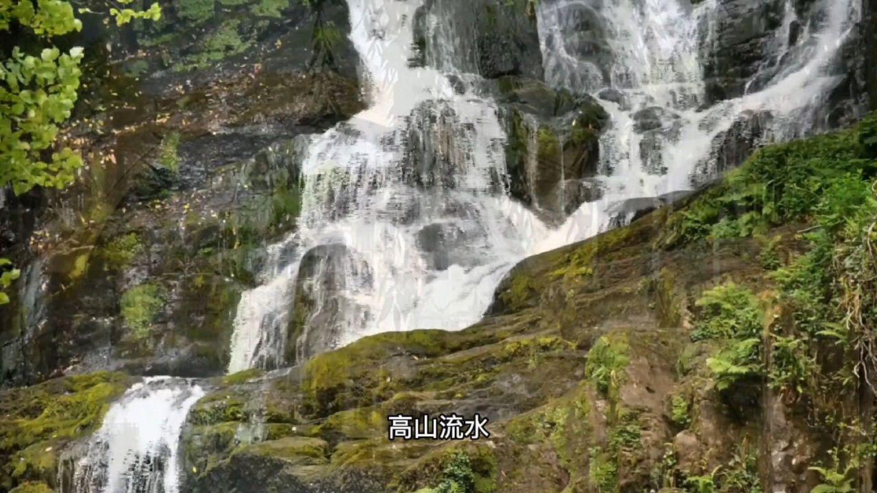 小猪佩奇饲养员
