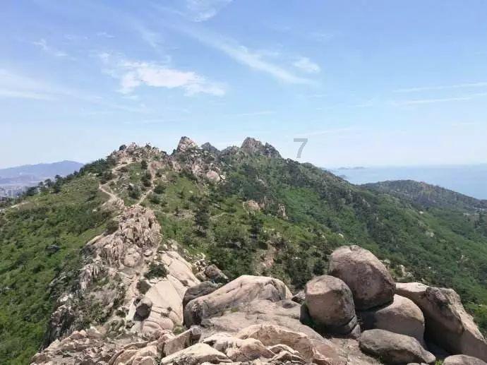 沪江开心词场